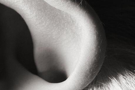 Liderar escuchando e indagando Escucha