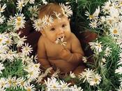 primera flor