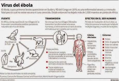 Las 10 claves para entender la enfermedad del Virus del Ébola.