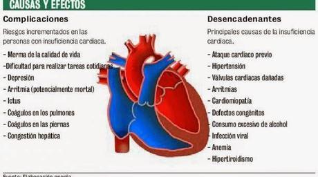 Enfermedades más comunes (Corazón, Vasos Sanguíneos y Sangre) Parte I