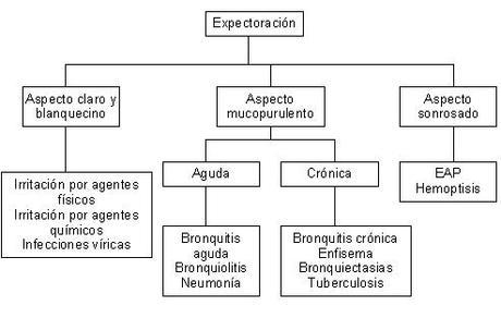 Sistema Respiratorio: Manifestaciones generales