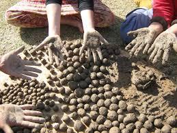 EL MÉTODO FUKUOKA: NENDO DANGO