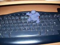 MARCELINA Y SU REFLEXIÓN