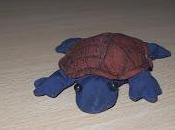 fusilamiento democracia abstención