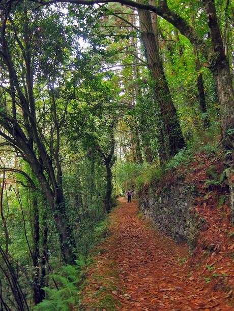 Ruta del Agua (Taramanudi)