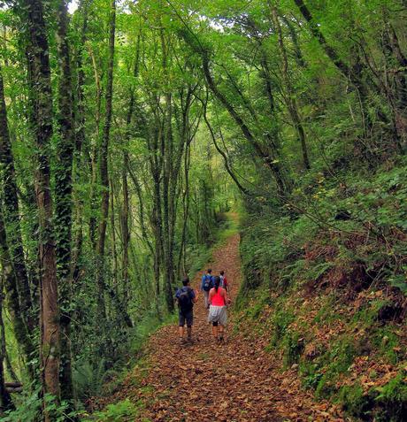 Ruta del Agua (Taramanudi)