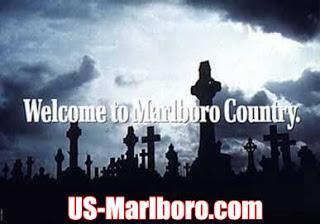 ¿Has probado la Miel del Alacrán?...