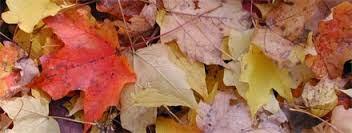 Prepárate para el cambio