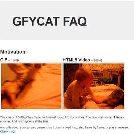 Gfycat, la mejor forma de compartir gifs en Internet