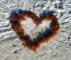 heart of seaweed  MGD©