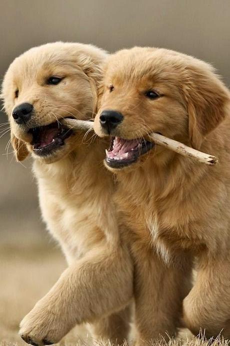 San Viernes and the moon