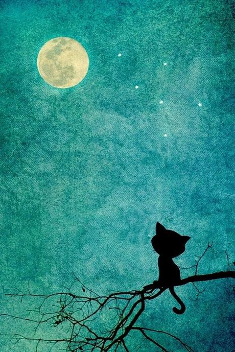 San Viernes and the moon