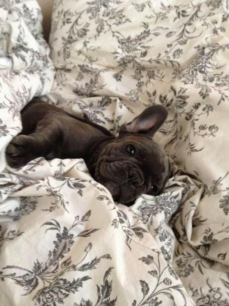 San Viernes and the moon