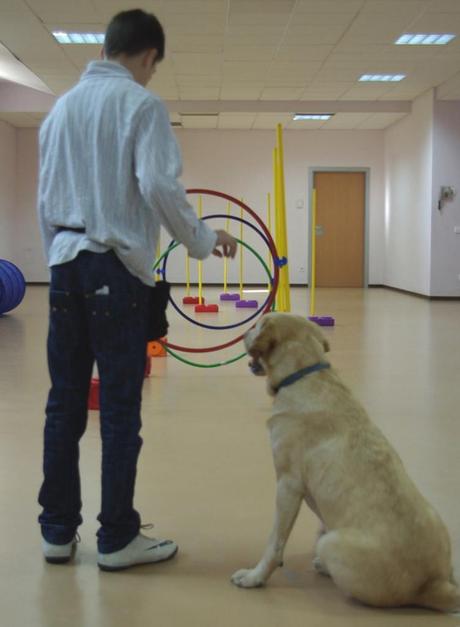 Fundación Affinity lleva las terapias con animales a los centros de menores tutelados.