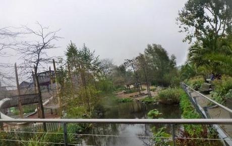 No volveré a un Zoo ni a seguir a unos orientales en el Barrio Rojo: Día 3 Amsterdam Artis Royal Zoo