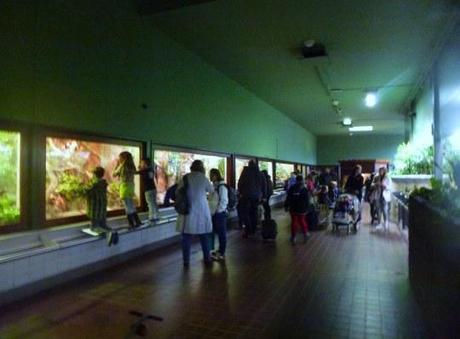 No volveré a un Zoo ni a seguir a unos orientales en el Barrio Rojo: Día 3 Amsterdam Artis Royal Zoo