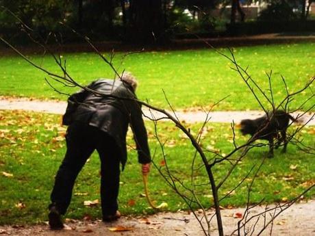 No volveré a un Zoo ni a seguir a unos orientales en el Barrio Rojo: Día 3 Amsterdam Wertheimpark