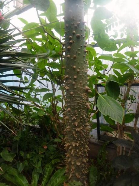 No volveré a un Zoo ni a seguir a unos orientales en el Barrio Rojo: Día 3 Amsterdam Artis Royal Zoo