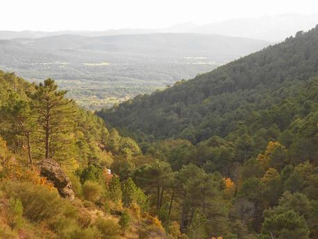 PRESA DE PIEDRALAVES