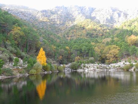 PRESA DE PIEDRALAVES