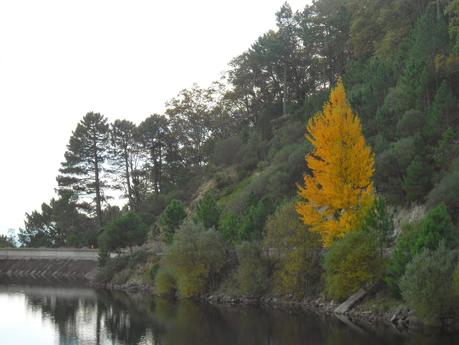 PRESA DE PIEDRALAVES