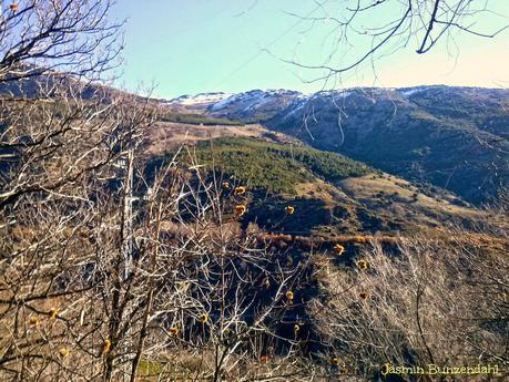 Navidad en La Alpujarra