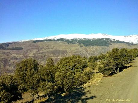 Navidad en La Alpujarra