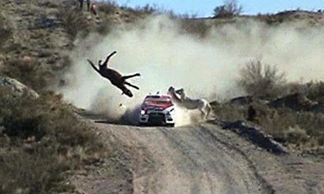 El lado oscuro del Rally Dakar