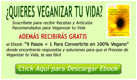 BENEFICIOS DE LA QUINOA: LA QUINOA EN LAS DIETAS VEGANAS