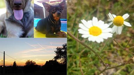 A todas mis amigas de Blogueras 'made in Spain'