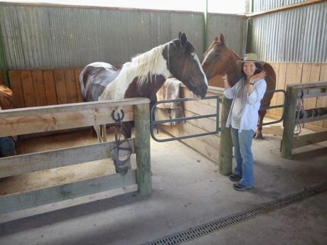 PASEO A CABALLO POR WYUNA