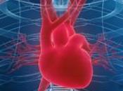 síndrome corazón roto condición cardíaca real
