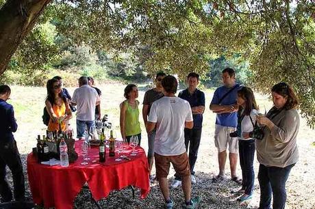 Escápate a Noja en cualquier época del año