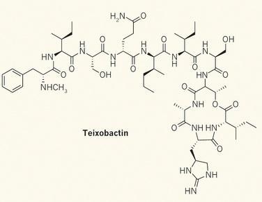 Teixobactina
