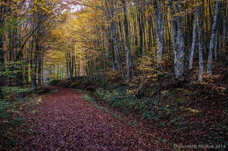 Transformación Transformación