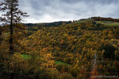 Paisaje multicolor Paisaje multicolor
