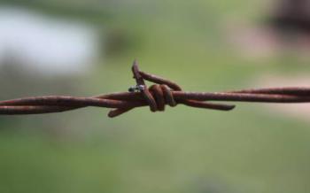 conexion - sin cables