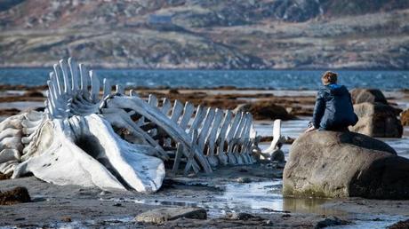 Palm Springs 2015/IV