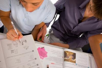 Problemas de aprendizaje: ¿Que podemos hacer los padres? problemas de aprendizaje