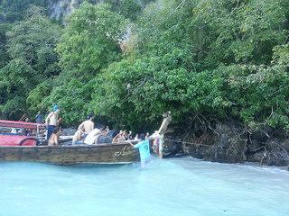 Turistas acosando al mono