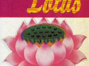 R.E.M. Lotus (1998)