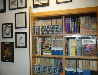 NUESTRAS COLECCIONES: HOY LA COLECCION DE STEWART COPS