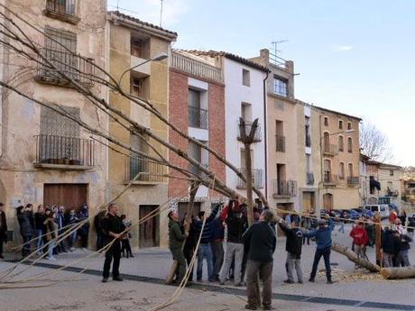 Subida del álamo de Castelserás. La tradición continua.