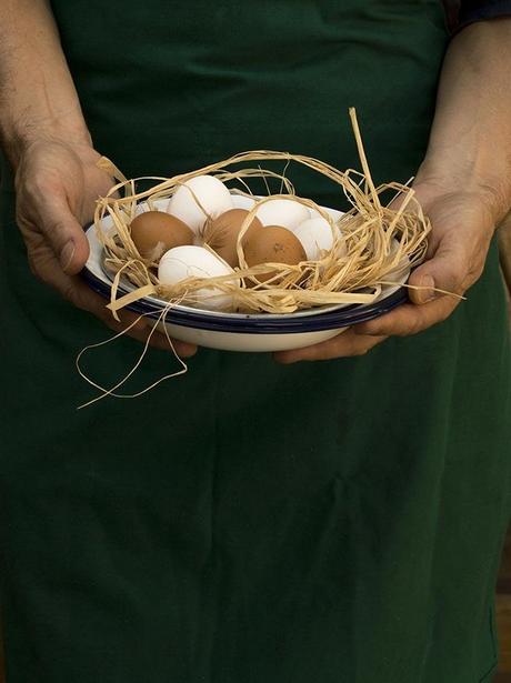 HUEVOS CON TOMATE A LA SARTÉN