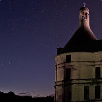 gatochambord