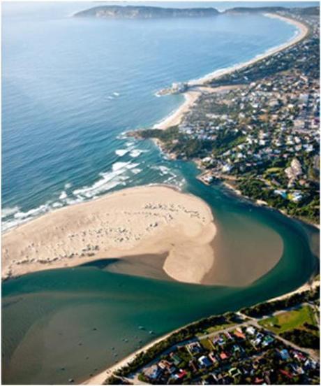 Descubriendo “Hog Hollow” en Plettenberg Bay, Sudáfrica Descubriendo “Hog Hollow” en Plettenberg Bay, Sudáfrica
