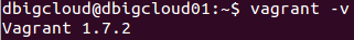 Version de vagrant por DBigCloud