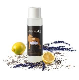 Propósitos de Ami Iyök para el 2015