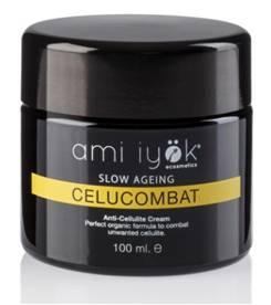 Propósitos de Ami Iyök para el 2015