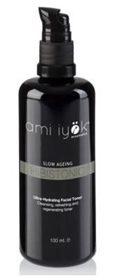 Propósitos de Ami Iyök para el 2015